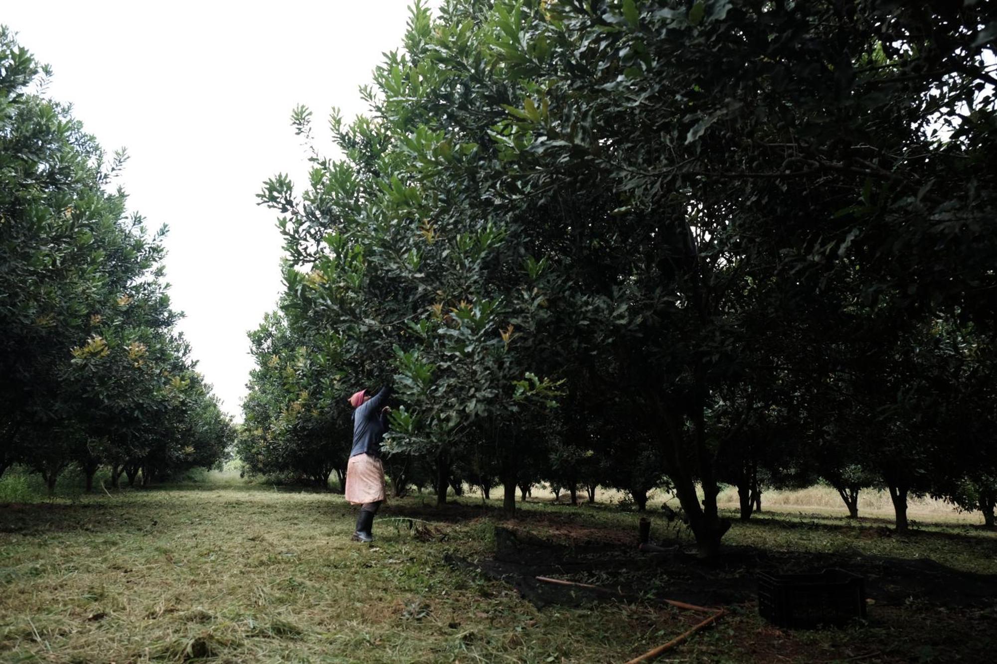 Mabuda Guest Farm Siteki Zewnętrze zdjęcie