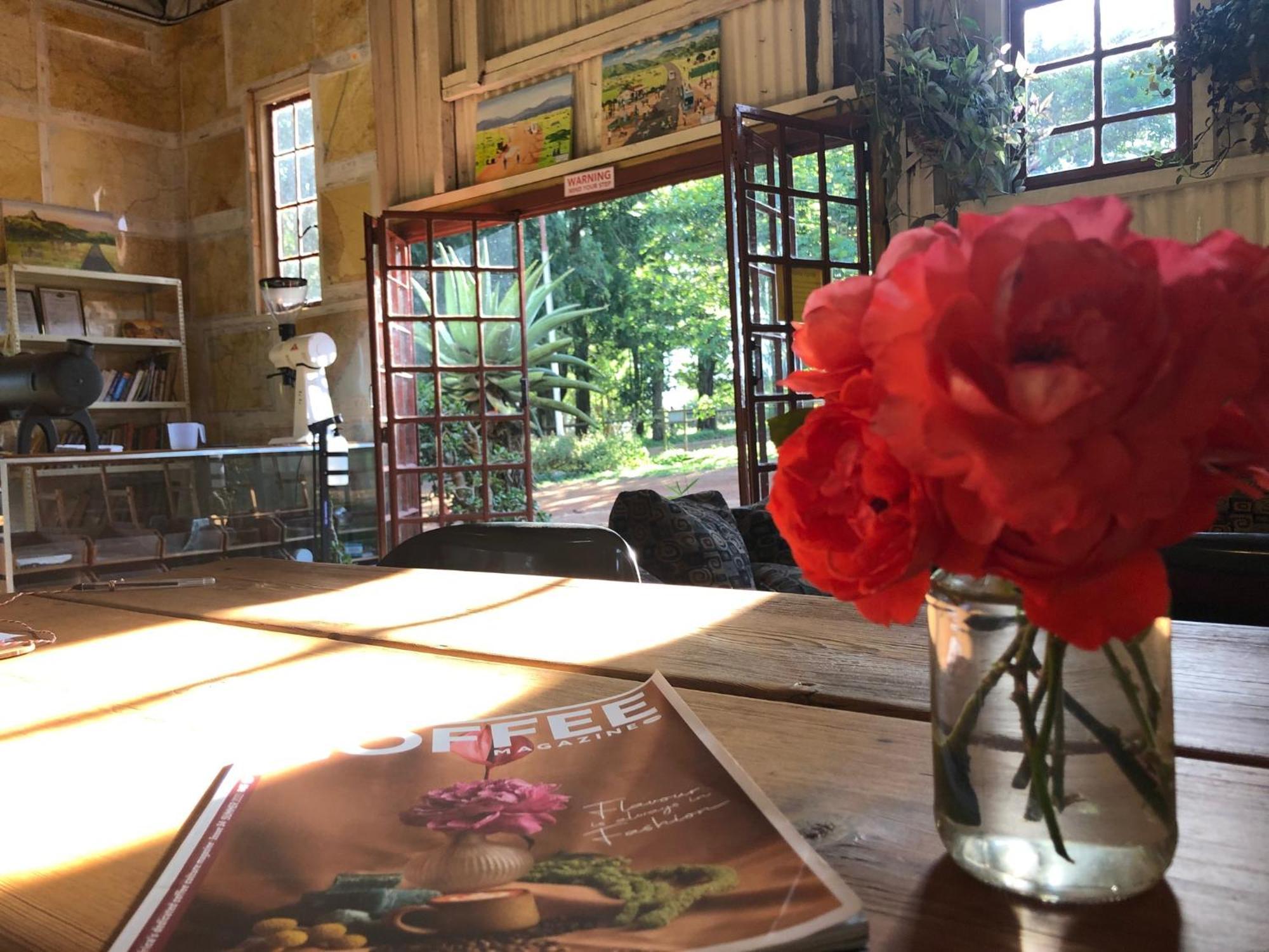 Mabuda Guest Farm Siteki Zewnętrze zdjęcie