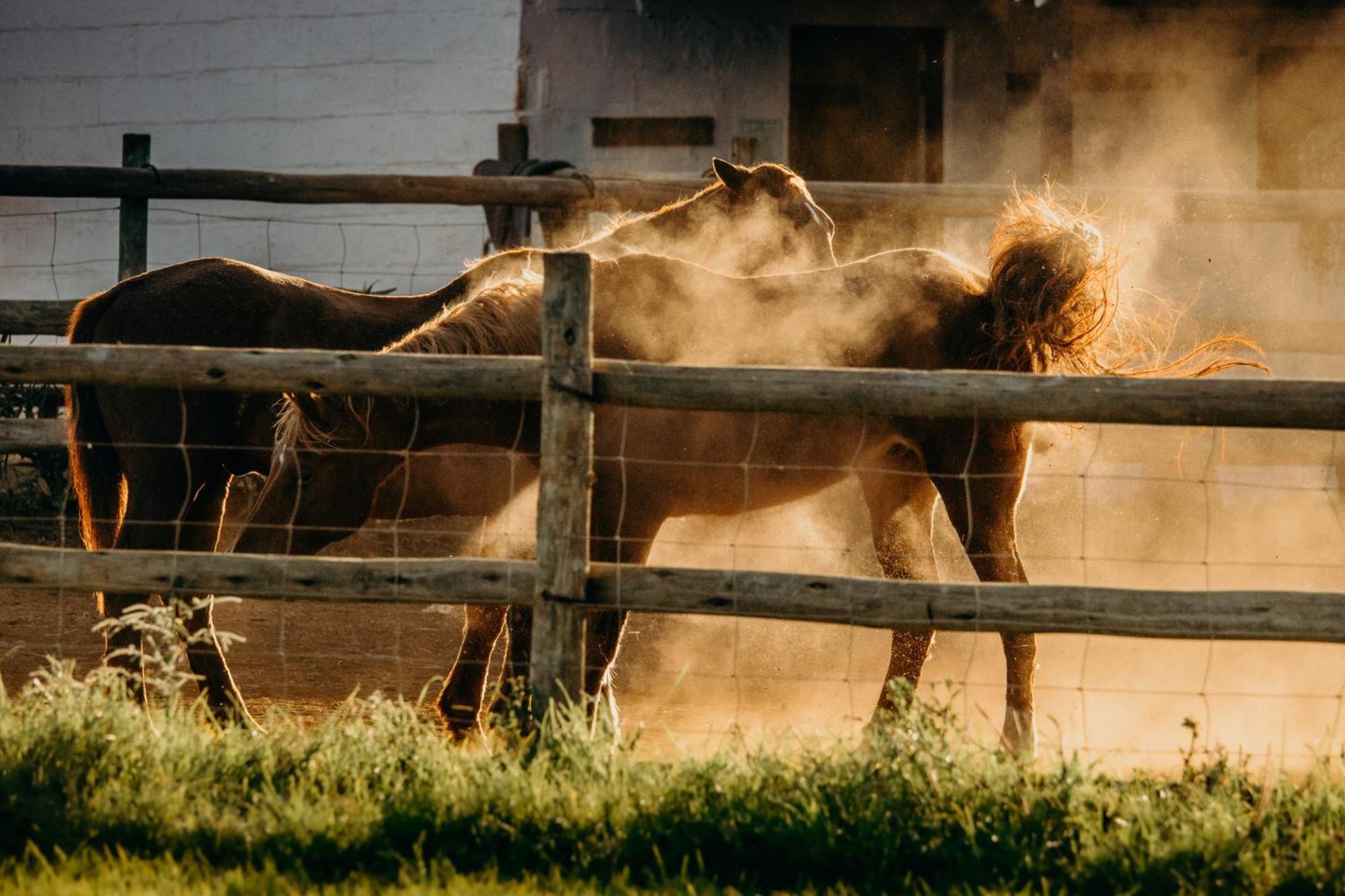 Mabuda Guest Farm Siteki Zewnętrze zdjęcie