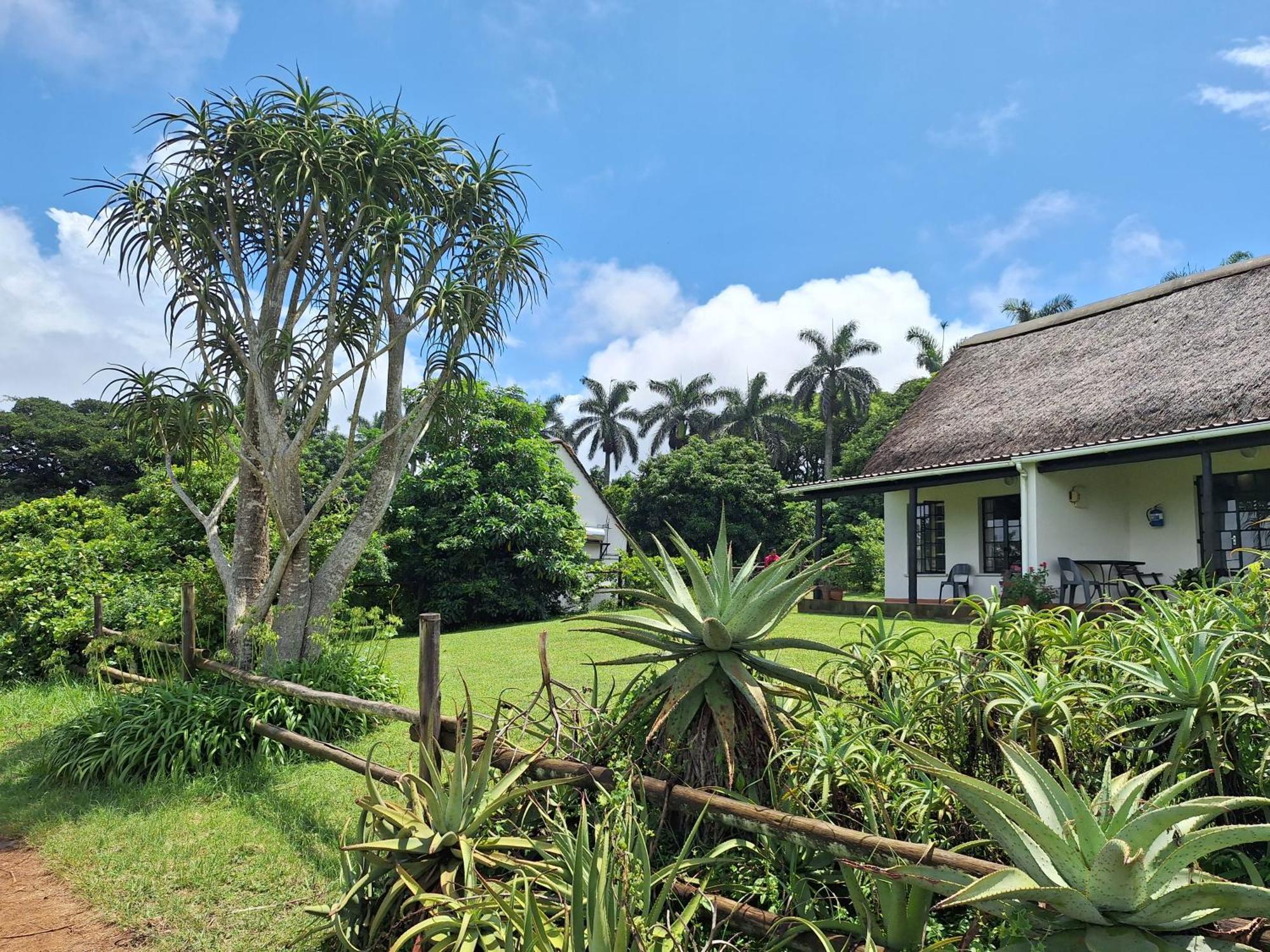 Mabuda Guest Farm Siteki Zewnętrze zdjęcie
